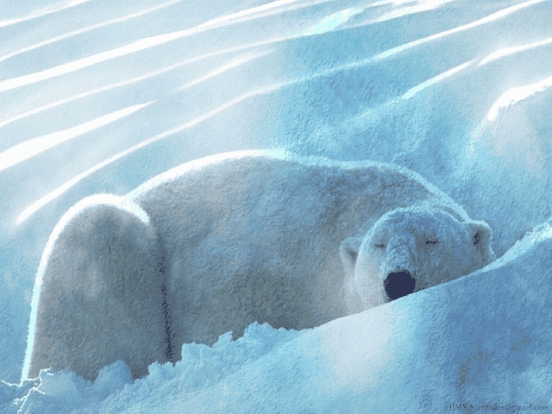 <strong>试管移植得了宫外孕（用什么夹住试管）</strong>