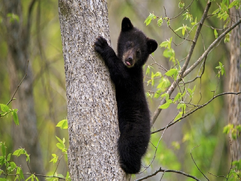 兰州代怀最好医院,泰国试管价格高吗？-兰州有没有供卵机构_兰州供卵试管医院
