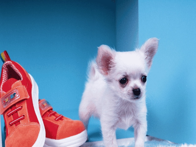 兰州哪可以代怀,兰州试管多少天长胎盘（静脉标本试管图片）